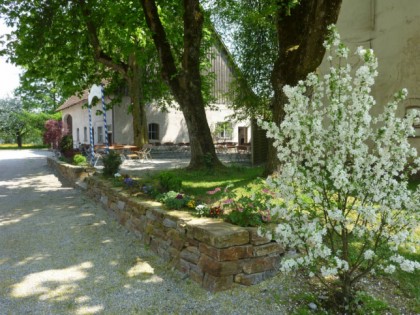 Фото: Landgasthof zum Adler